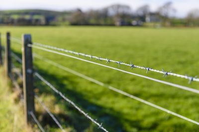 Barb Wire Fence Installation