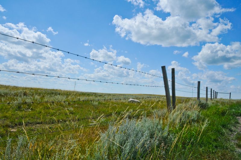 Barb Wire Fence Installation