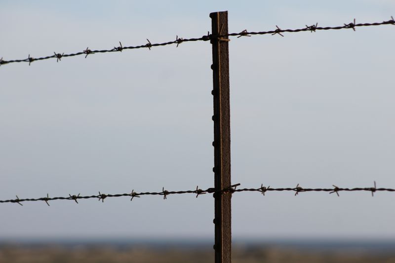 Close-up of Barb Wire Details