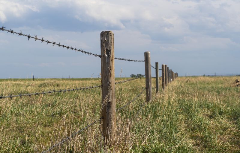 Fence Installation in Spring